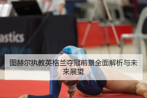 tu-he-er-zhi-jiao-ying-ge-lan-duo-guan-qian-jing-quan-mian-jie-xi-yu-wei-lai-zhan-wang-2-941.jpg
